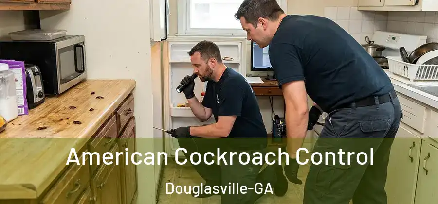  American Cockroach Control Douglasville-GA