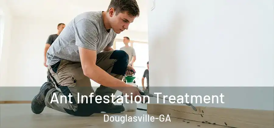  Ant Infestation Treatment Douglasville-GA