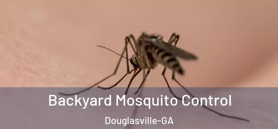  Backyard Mosquito Control Douglasville-GA