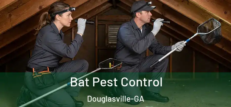  Bat Pest Control Douglasville-GA