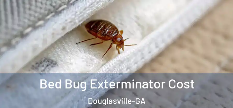  Bed Bug Exterminator Cost Douglasville-GA