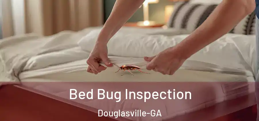  Bed Bug Inspection Douglasville-GA