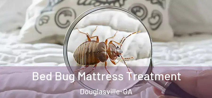  Bed Bug Mattress Treatment Douglasville-GA