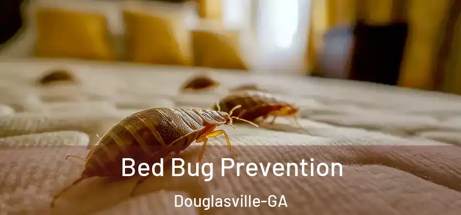  Bed Bug Prevention Douglasville-GA