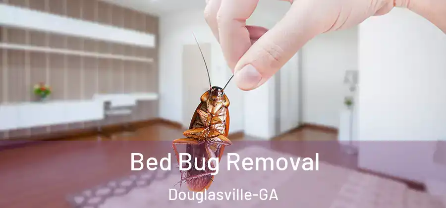 Bed Bug Removal Douglasville-GA