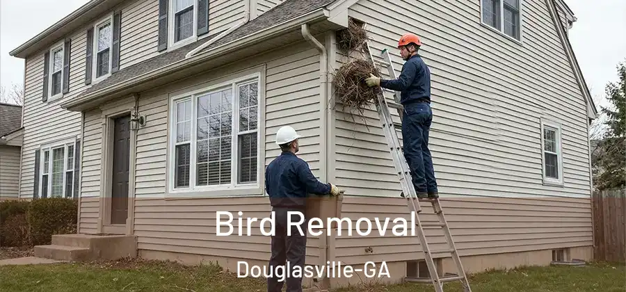  Bird Removal Douglasville-GA