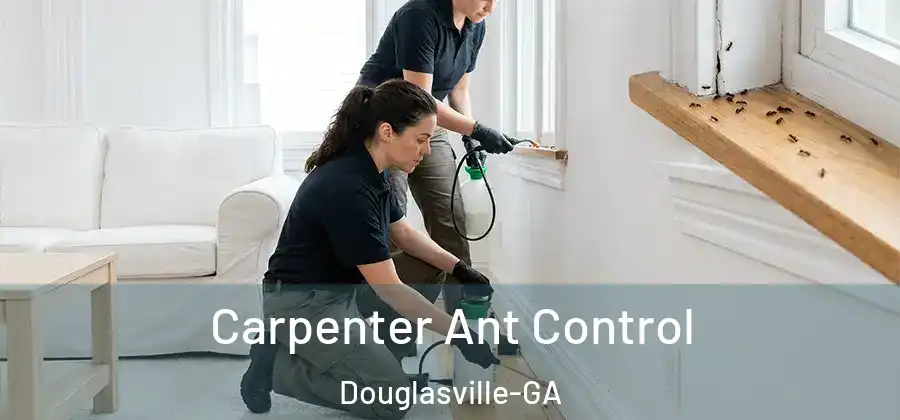  Carpenter Ant Control Douglasville-GA