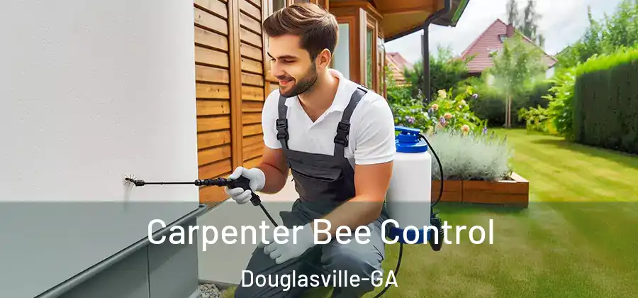  Carpenter Bee Control Douglasville-GA