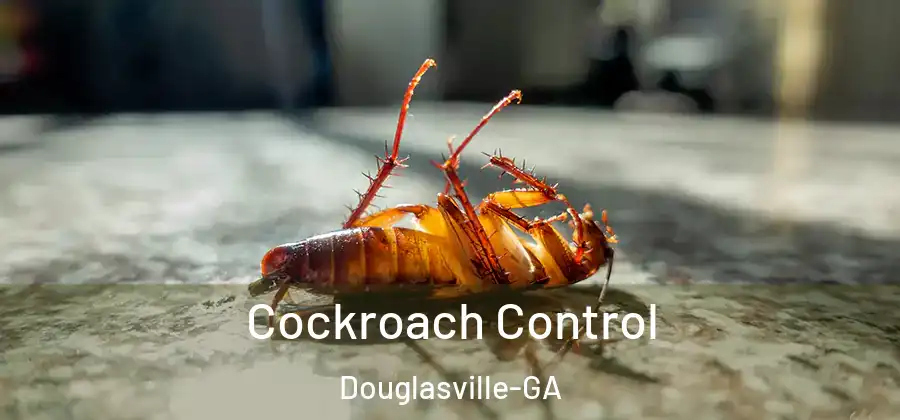  Cockroach Control Douglasville-GA