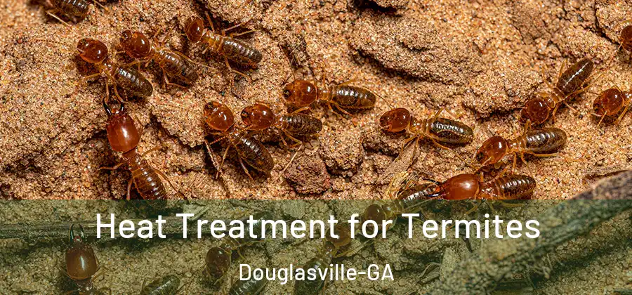  Heat Treatment for Termites Douglasville-GA