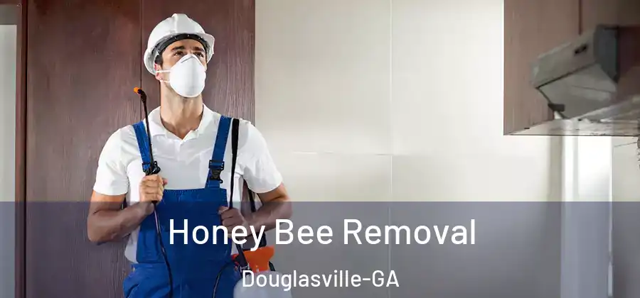  Honey Bee Removal Douglasville-GA