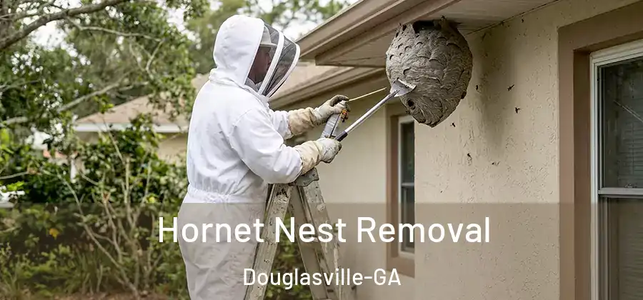  Hornet Nest Removal Douglasville-GA