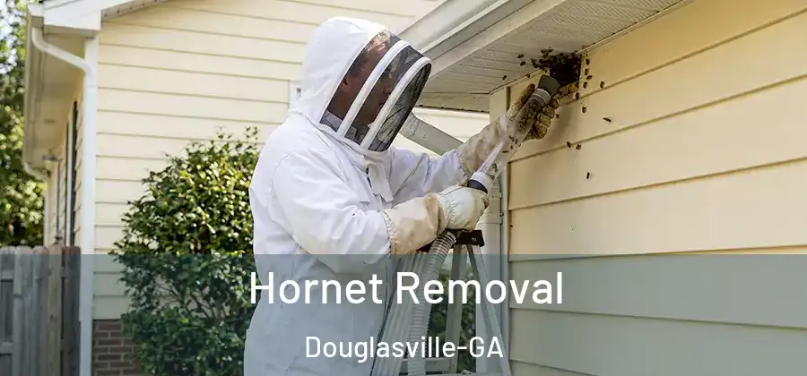 Hornet Removal Douglasville-GA