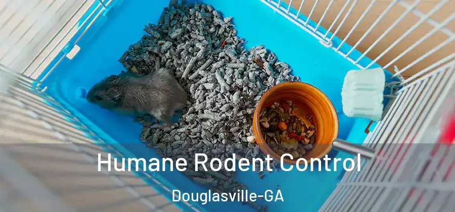  Humane Rodent Control Douglasville-GA