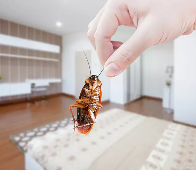Your Cockroach Control Services in Douglasville, GA