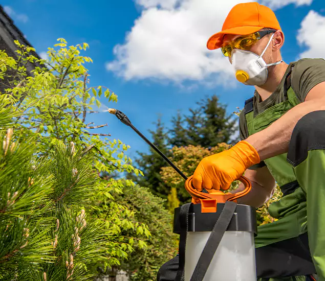 Your Mosquito Repellent Barrier Service in Douglasville, GA