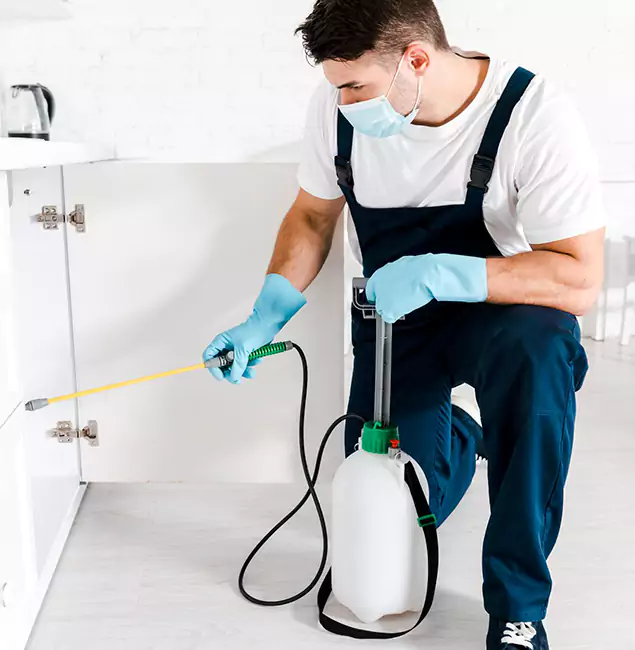 Why Douglasville, GA Homeowners Trust Us for German Roach Control?