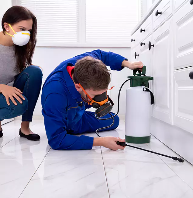 Why Douglasville, GA Homeowners Trust Douglasville Pest Control Pro for Roach Control?