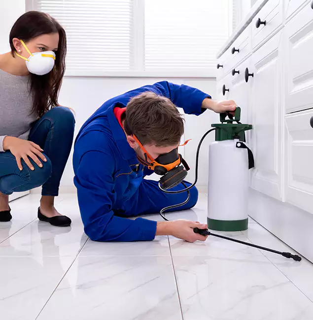 Why Choose Wood Termite Treatment by Douglasville Pest Control Pro in Douglasville, GA?