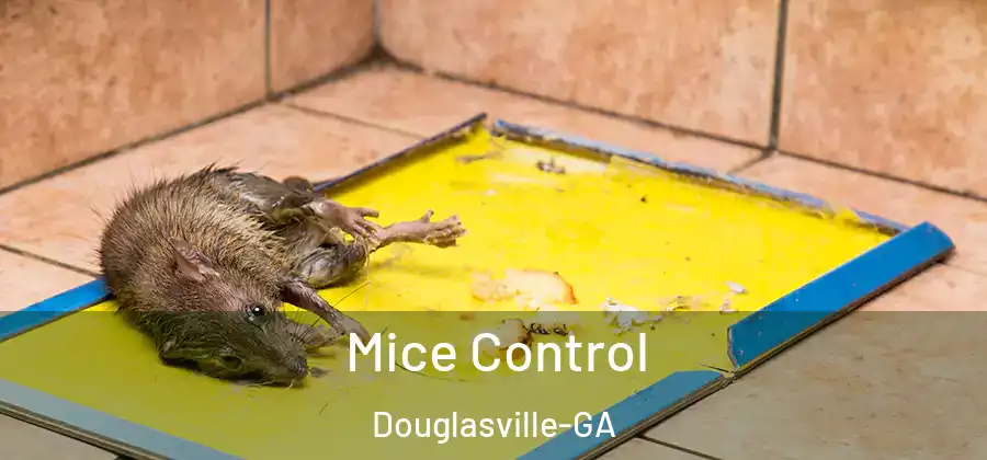  Mice Control Douglasville-GA