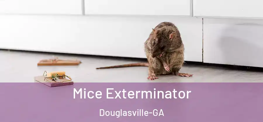  Mice Exterminator Douglasville-GA