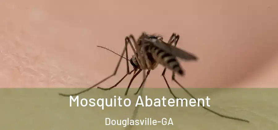 Mosquito Abatement Douglasville-GA