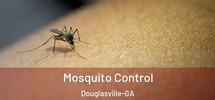 Mosquito Control Douglasville-GA