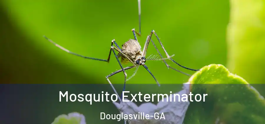  Mosquito Exterminator Douglasville-GA