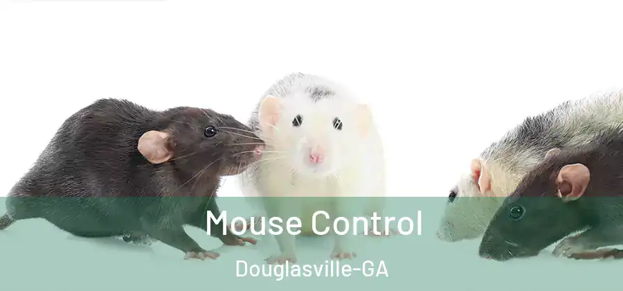  Mouse Control Douglasville-GA