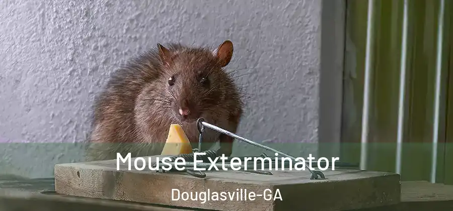  Mouse Exterminator Douglasville-GA