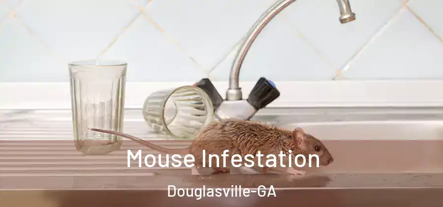  Mouse Infestation Douglasville-GA