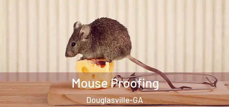  Mouse Proofing Douglasville-GA