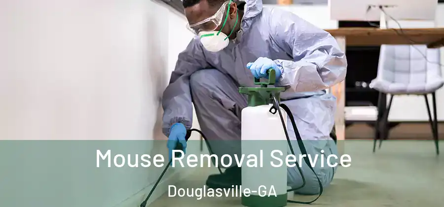  Mouse Removal Service Douglasville-GA