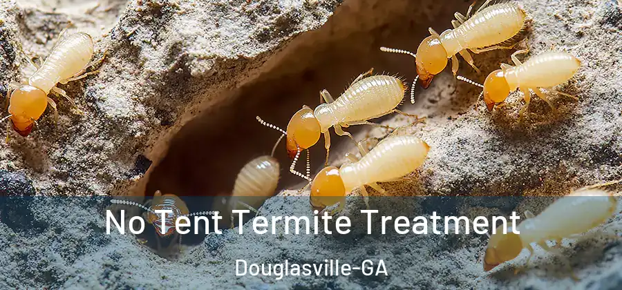  No Tent Termite Treatment Douglasville-GA