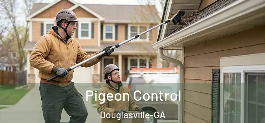 Pigeon Control Douglasville-GA