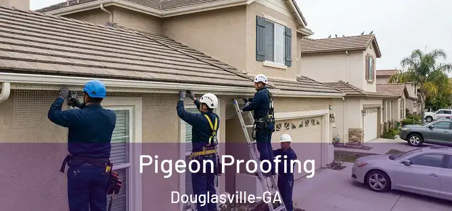  Pigeon Proofing Douglasville-GA