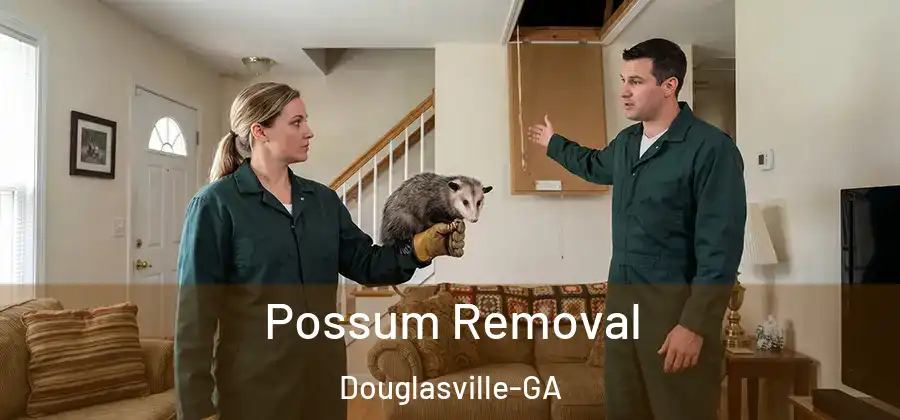  Possum Removal Douglasville-GA