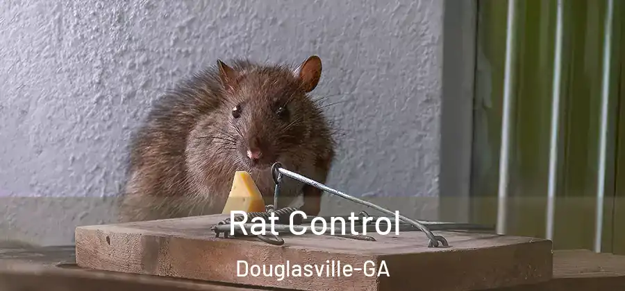  Rat Control Douglasville-GA