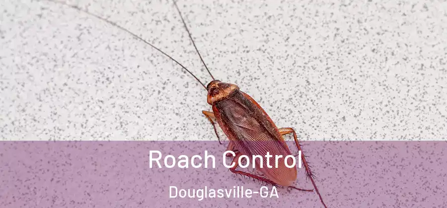  Roach Control Douglasville-GA