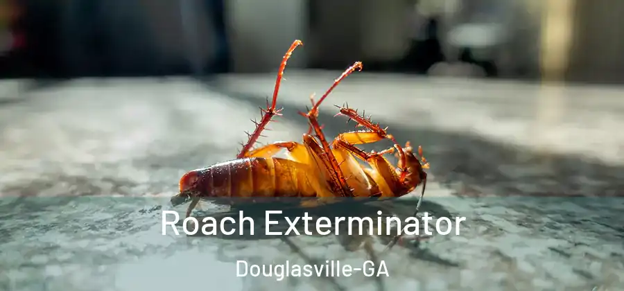  Roach Exterminator Douglasville-GA