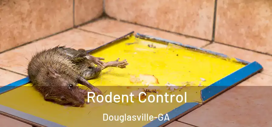  Rodent Control Douglasville-GA