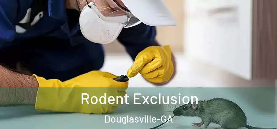  Rodent Exclusion Douglasville-GA