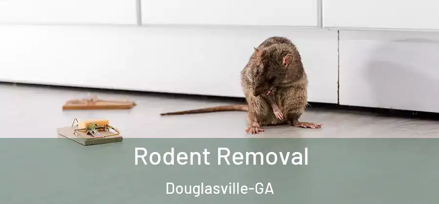Rodent Removal Douglasville-GA