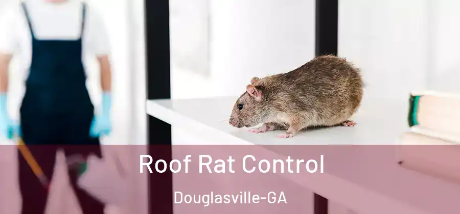  Roof Rat Control Douglasville-GA