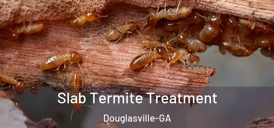 Slab Termite Treatment Douglasville-GA