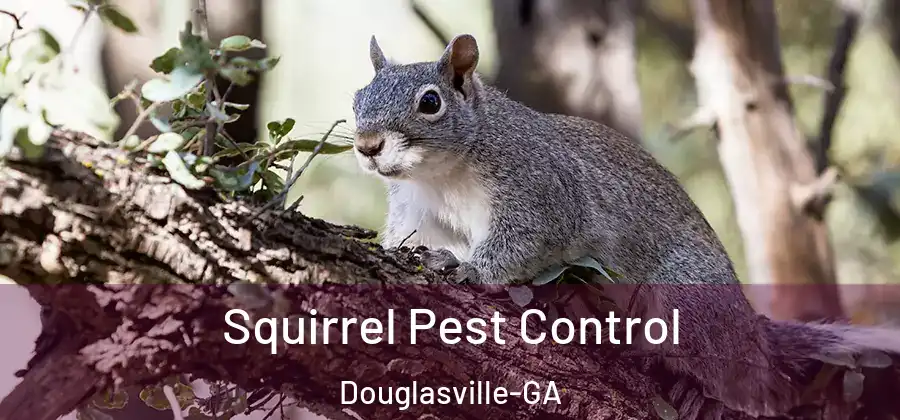  Squirrel Pest Control Douglasville-GA