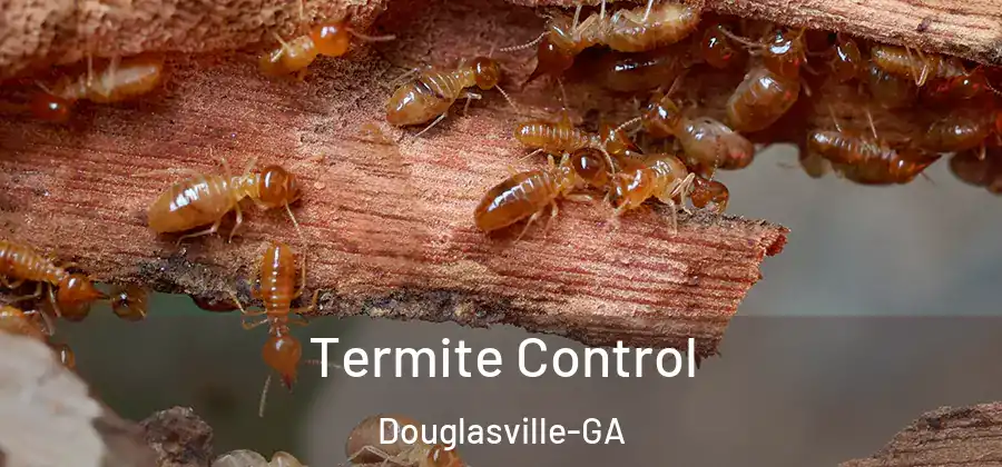  Termite Control Douglasville-GA