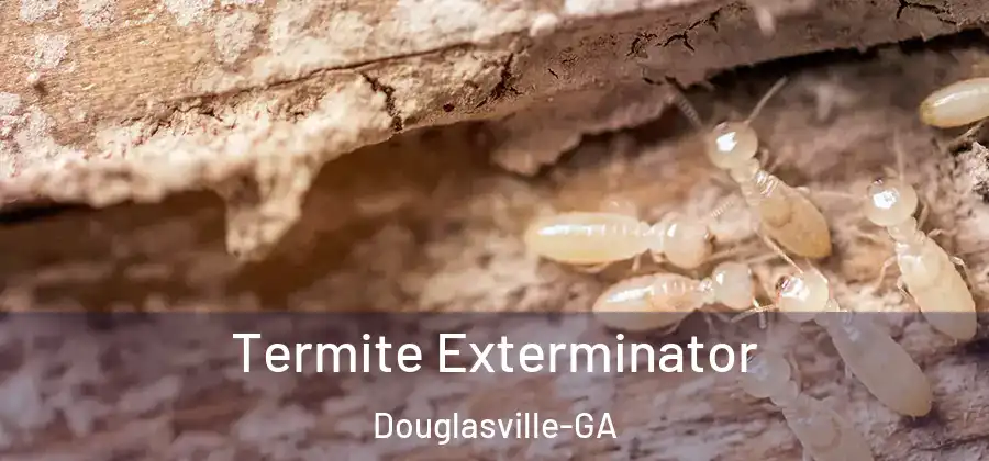  Termite Exterminator Douglasville-GA