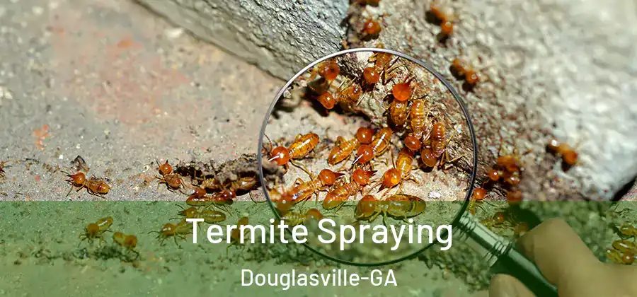  Termite Spraying Douglasville-GA