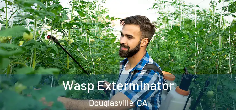 Wasp Exterminator Douglasville-GA